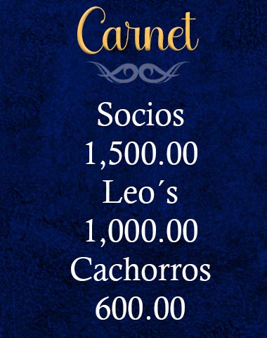 Inicio carnet
